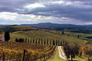 Ski Lodges, Mountain Refuges, Characteristic B&Bs and simply nice places to stay in Italy and the Italian Alps.